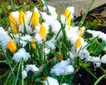 Идва щъркелов сняг още тази вечер! Лошото време ще е цяла седмица