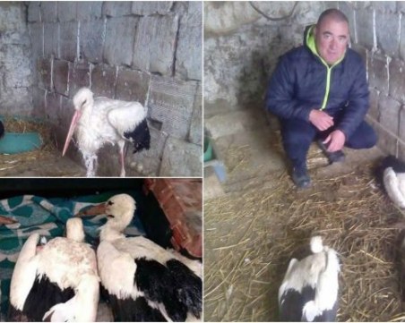 По примера на 