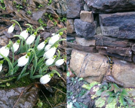 Днес настъпва астрономическата пролет! Идва със сняг и ураганен вятър