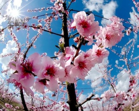 Пролетен хороскоп за 2018 година