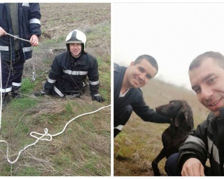 Човечност: Млади пожарникари спасиха куче от сигурна смърт, спуснаха се в 4-метрова шахта