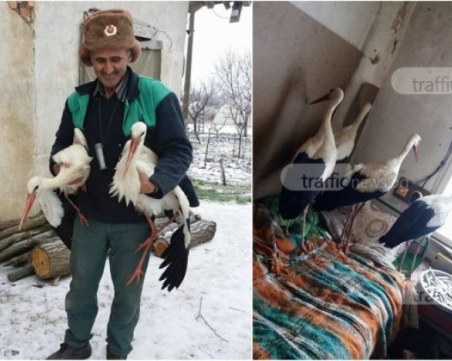 Спасителят на щъркелите Сафет - сериен добротворец