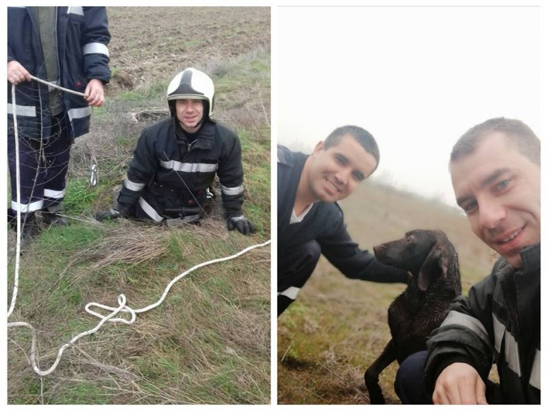 Човечност: Млади пожарникари спасиха куче от сигурна смърт, спуснаха се в 4-метрова шахта
