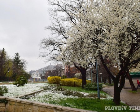 Красотата, която донесе пролетният сняг в Пловдив СНИМКИ