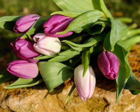 Росен и Росица да почерпят днес! Имат празник