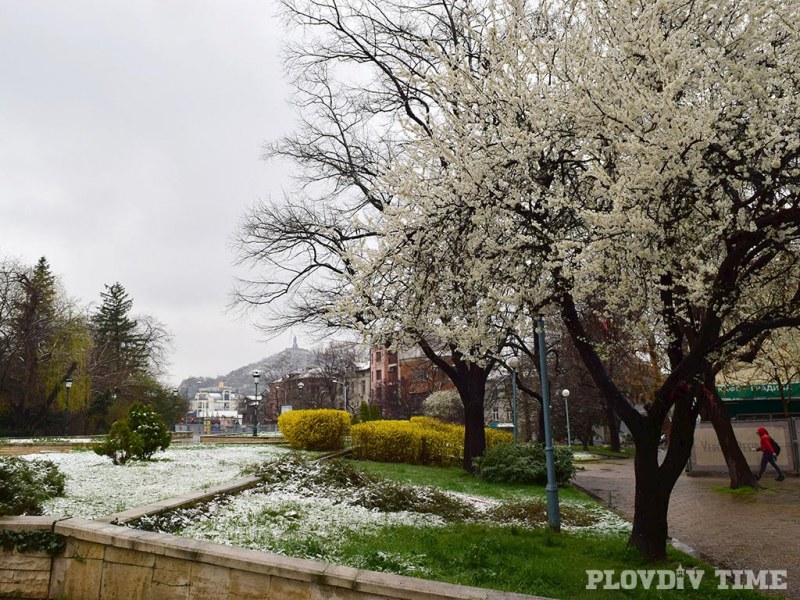 Красотата, която донесе пролетният сняг в Пловдив СНИМКИ