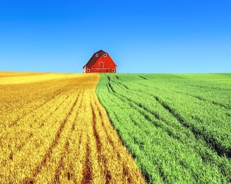 Къде е най-скъпа земята в България?