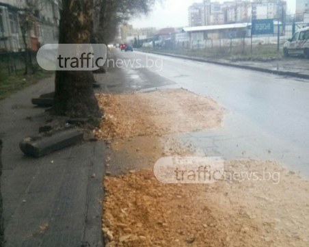 На пловдивчанка й писна от вечен ремонт на булевард в Кючука, чака 32 години да го разширят СНИМКИ