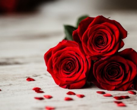 Всички, които носят името Лидия - имат празник днес