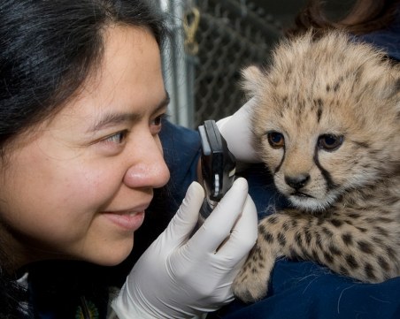 Да се грижиш за животните - трудна работа, няма желаещи ВИДЕО