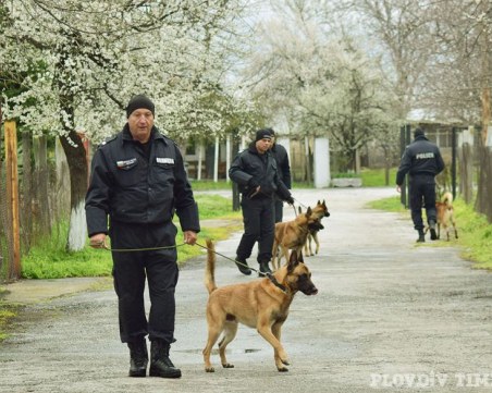 Ето ги полицаите на четири лапи в Пловдив СНИМКИ