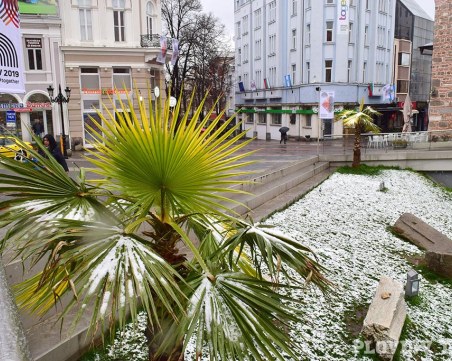 Къде да отидем в НЕДЕЛЯ в Пловдив - ГИД на събитията