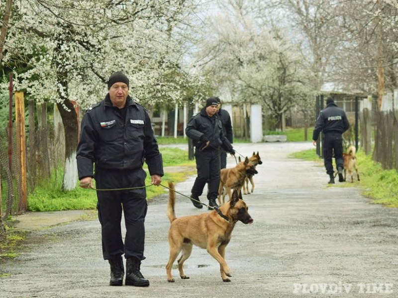 Ето ги полицаите на четири лапи в Пловдив СНИМКИ