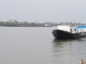 Тялото на сърбин изплува от водите на Дунав