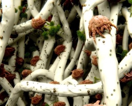 Ужасяващи факти от ежедневието СНИМКИ