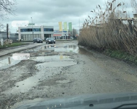 Живко е новата Анка, блокира ремонтите в Пловдив