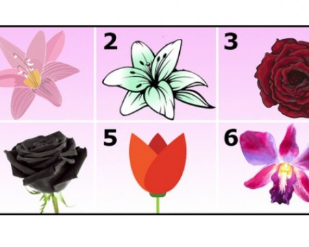 Цветето, което избереш, разкрива каква жена си