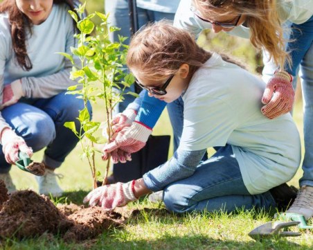 Доброволци от Пловдив и цялата страна залесяват заедно България