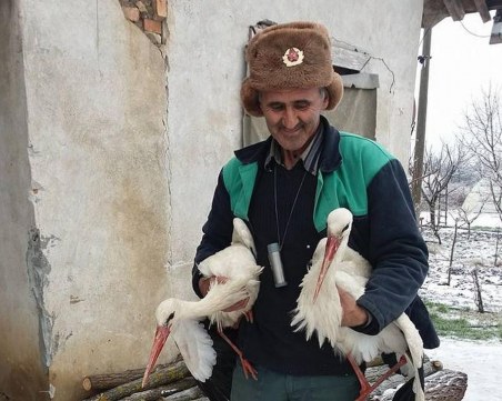 Спасителят на щъркели се нуждае от помощ! Не от грамоти и репортажи!