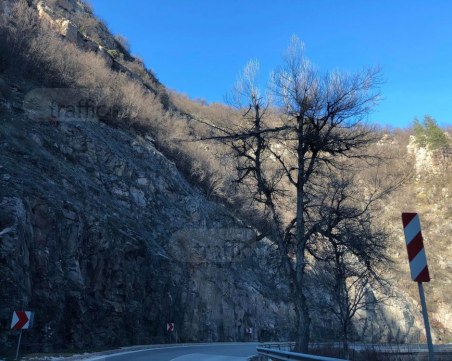 Опасен клон дебне жертви по пътя Пампорово - Пловдив СНИМКИ