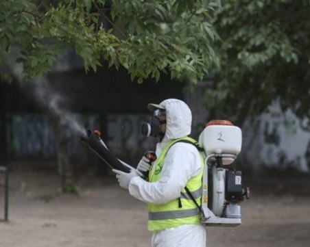 Започва акция срещу кърлежи в Пловдив! Пръскат във всички квартали