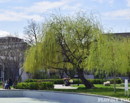 Сирени огласяват Пловдив днес