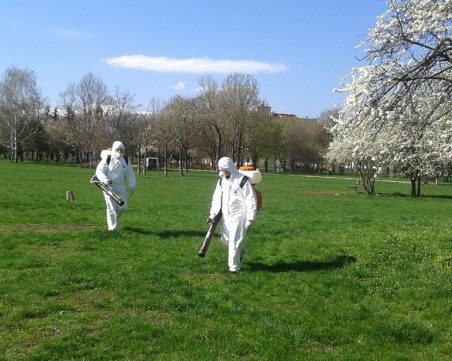 Започват да пръскат срещу кърлежи в Пловдив, първо в центъра