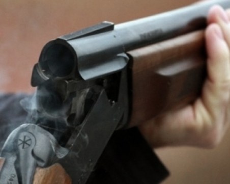 Мъж застреля домашно куче край Пазарджик! Влизало в двора му