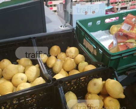 Пуснаха лимони на промоция в Пловдив, но… изгнили