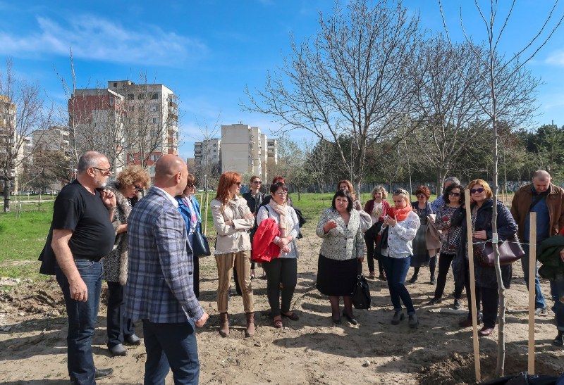 Магистрати от Апелативен съд – Пловдив засадиха алея с чинари