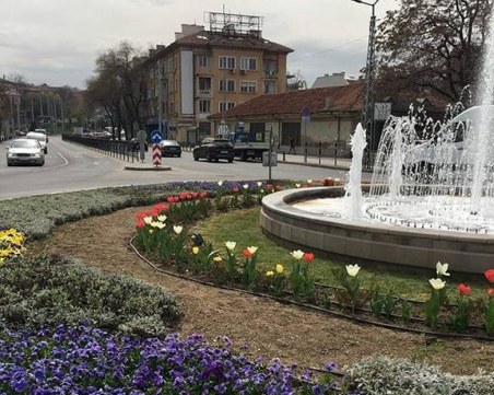 Фонтанът до Водната палата забълбука! СНИМКИ