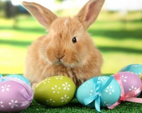 Поздрави и пожелания за Великден