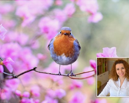 Пролетта - най-трудният сезон за хората, които живеят в стрес