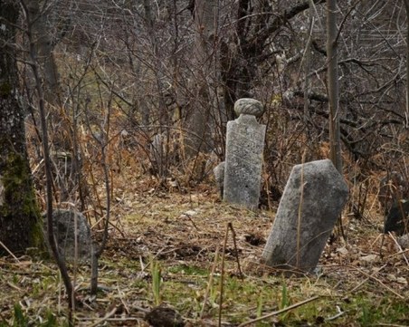 Преобразяват природата на гробищата в Пловдив за 70 хиляди лева