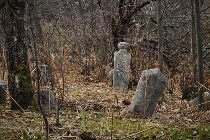 Преобразяват природата на гробищата в Пловдив за 70 хиляди лева