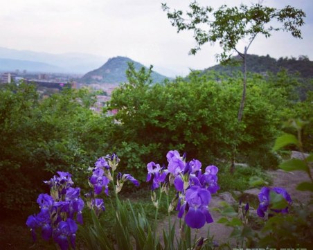 Какво ще бъде времето през уикенда в Пловдив?