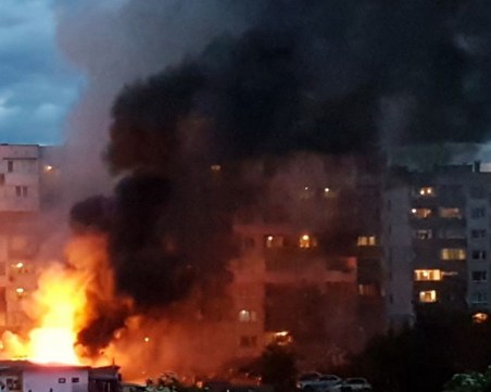 Огромен пожар избухна в София! Коли и дървета изгоряха за секунди ВИДЕО