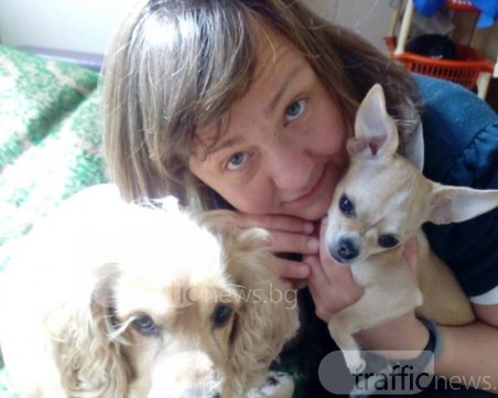 Малко кученце чихуахуа изчезна! Виждали ли сте го?