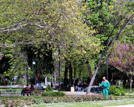 Търсят се нови работници в ОП “Паркове и градини“