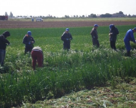 Внимавайте с измамните обещания за бързи пари в чужбина!