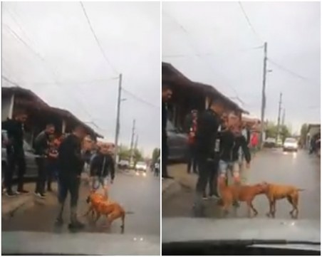 Бой до смърт: Мъже насилват кучета в кръвожадна битка ВИДЕО