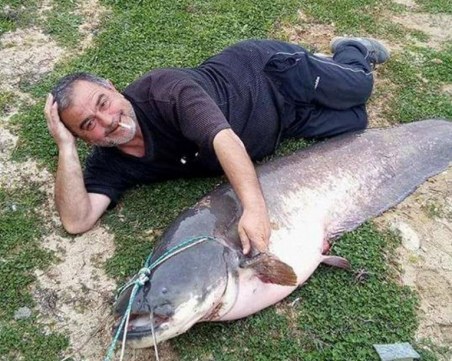 Измъкнаха 180 сантиметров сом от наш язовир с... такси СНИМКИ