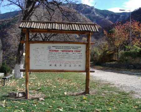 Световният ден на Земята амбицира пловдивчани! Почистват местност край Пловдив