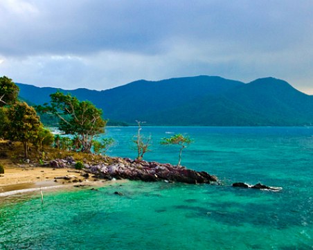 Нови животински видове бяха открити на остров Ява