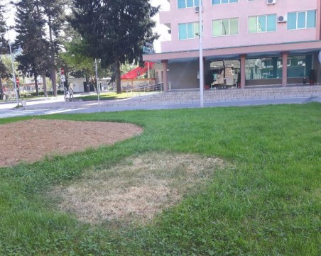 Две мълнии удариха Златоград, електроуреди са извън строя СНИМКИ