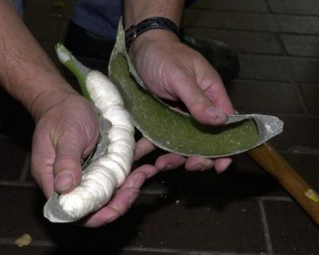 Рекордни 9 тона кокаин в банани бяха конфискувани в Испания