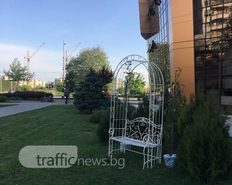 Сезонът на сватбите е открит! Разпънаха сватбена арка в Тракия СНИМКИ