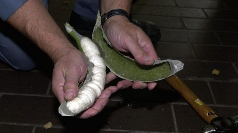 Рекордни 9 тона кокаин в банани бяха конфискувани в Испания