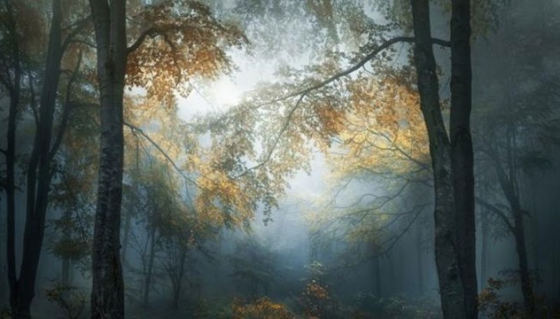 Снимка на горите в Стара планина номер 1 измежду 171 000 на международен конкурс