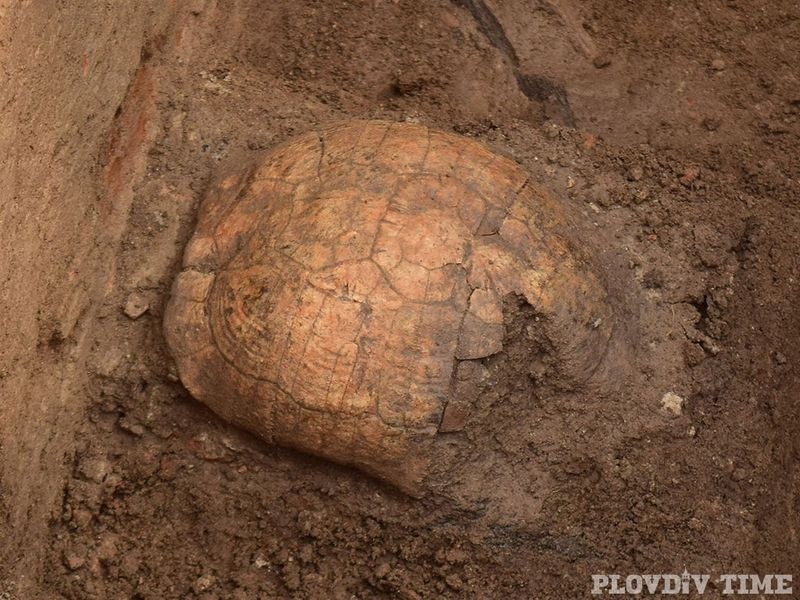 Втора костенурка намериха археолозите в древния гроб в Пловдив